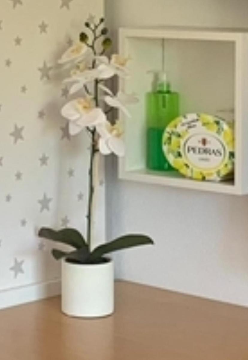 Apartaestudio บิยานูเอวาเดลตราบูโก ภายนอก รูปภาพ